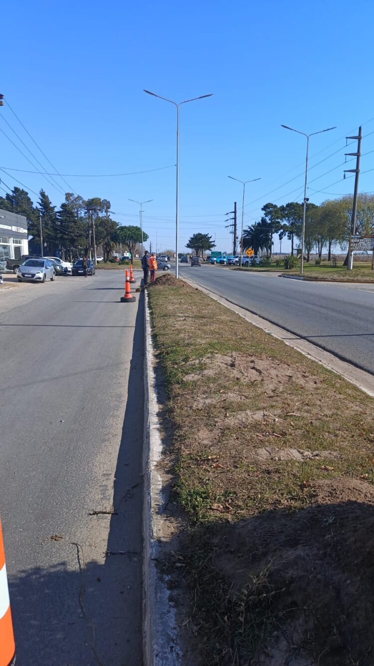 Se realizaron trabajos de reconversión lumínica en Mar de Ajó