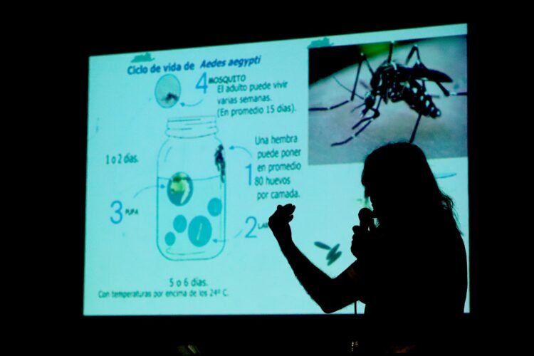 Comenzaron las capacitaciones sobre dengue destinadas al personal municipal