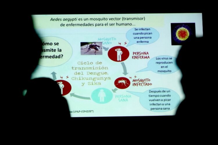 Comenzaron las capacitaciones sobre dengue destinadas al personal municipal