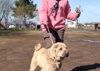 Tenencia Responsable de Mascotas: Comenzaron las charlas educativas de zoonosis