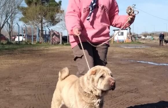 Tenencia Responsable de Mascotas: Comenzaron las charlas educativas de zoonosis