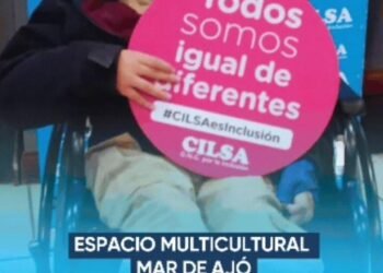 Promoviendo la igualdad: se entregarán sillas de ruedas y elementos ortopédicos a personas con discapacidad