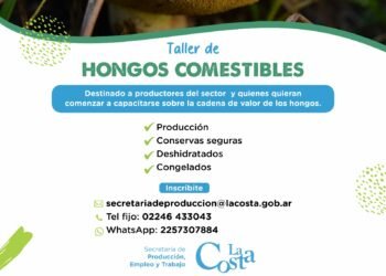 Inscripción abierta para el Taller agroecológico de hongos comestibles