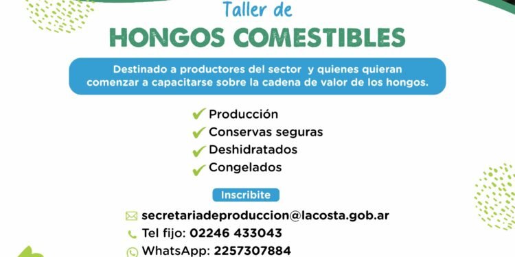 Inscripción abierta para el Taller agroecológico de hongos comestibles