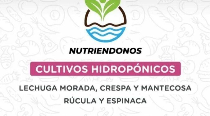 Producción local: Cultivos hidropónicos de San Bernardo ya están disponibles en Mercados Bonaerenses