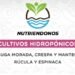 Producción local: Cultivos hidropónicos de San Bernardo ya están disponibles en Mercados Bonaerenses