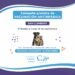 Campaña de vacunación antirrábica gratuita en las veterinarias adheridas de San Clemente