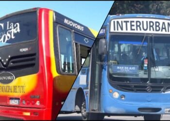 SUBE Digital: Está habilitado el pago del colectivo con celular