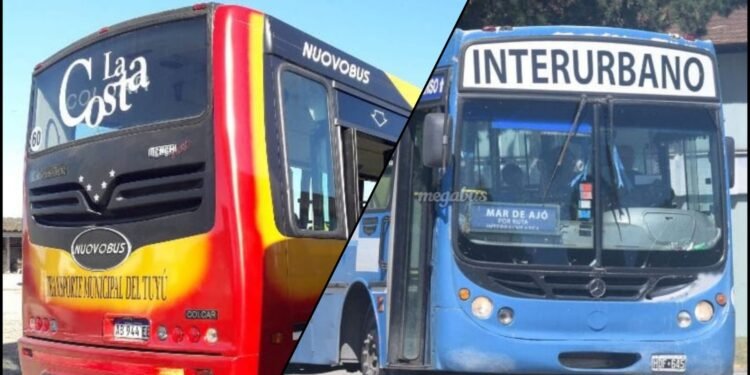 SUBE Digital: Está habilitado el pago del colectivo con celular