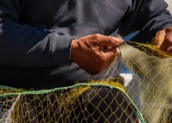 La Secretaría de Producción impulsa el trabajo de la pesca artesanal