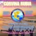 Este fin de semana llega la 55º edición de la Fiesta Nacional de a Corvina Rubia y Promoción Turística en Mar de Ajó