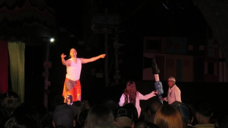 La Escuela Municipal de Bellas Artes despidió el año con un imponente espectáculo en San Clemente