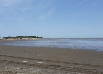 Semana de la Educación Ambiental: Actividades para aprender y comprometerse con el cuidado del ambiente