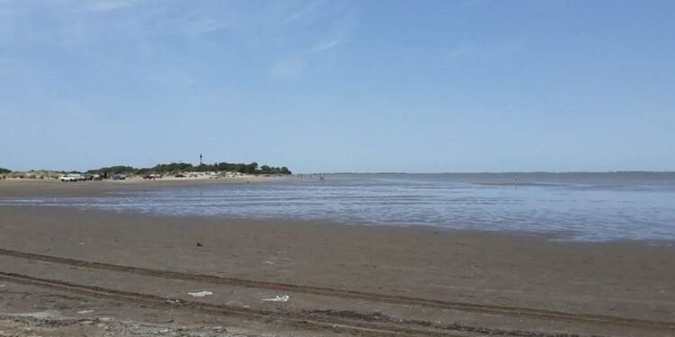 Semana de la Educación Ambiental: Actividades para aprender y comprometerse con el cuidado del ambiente