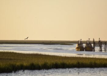 Más opciones para descubrir La Costa: Visita guiada a “Tapera de López”