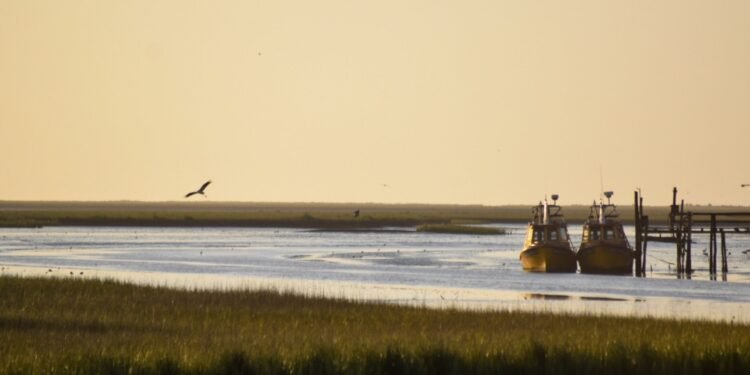 Más opciones para descubrir La Costa: Visita guiada a “Tapera de López”