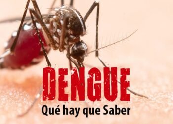 Dengue: La Costa promueve medidas de prevención contra el mosquito Aedes Aegypti