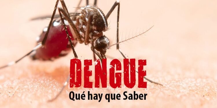 Dengue: La Costa promueve medidas de prevención contra el mosquito Aedes Aegypti