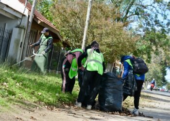 Más servicios, por la tarde: se suman operativos integrales de limpieza y mantenimiento en los barrios