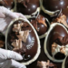 “Compre Local”: Fomento a la producción costera de chocolates y huevos de Pascuas