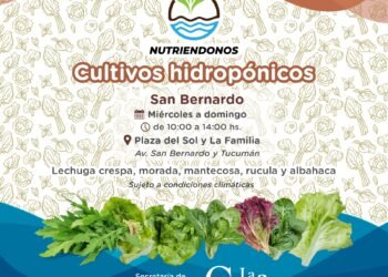 Llegan los Cultivos hidropónicos a San Bernardo con un 40% de reintegro de Cuenta DNI