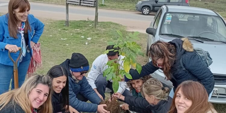 Salud Mental: Finalizó con éxito la etapa de internación en el Hospital Modular y el equipo retoma sus actividades en Mar de Ajó
