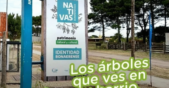 Desarrollo Sostenible: La Costa impulsa la forestación con plantas nativas y especies adaptadas al ambiente costero