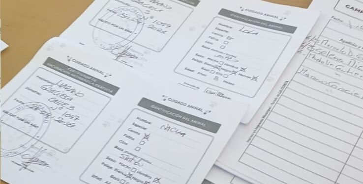 Este viernes habrá una jornada de vacunación antirrábica gratuita en Las Toninas