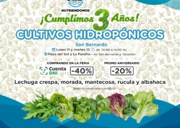 La huerta hidropónica “Nutriéndonos H2O” celebra su 3° aniversario con descuentos especiales