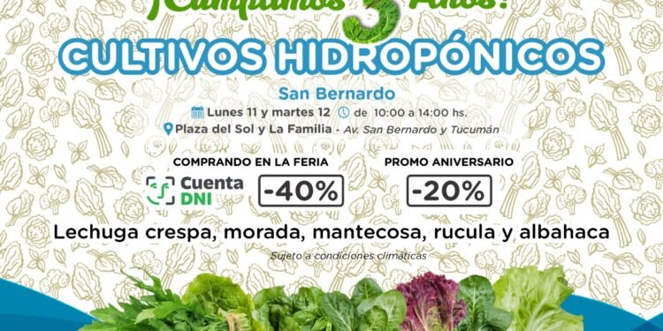 La huerta hidropónica “Nutriéndonos H2O” celebra su 3° aniversario con descuentos especiales