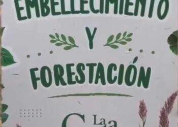 La Municipalidad de La Costa impulsa el Plan de Arbolado Público