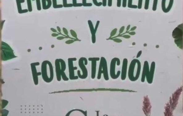 La Municipalidad de La Costa impulsa el Plan de Arbolado Público