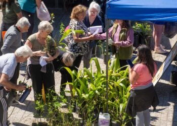 Una multitud participó de la Correcaminata por la concientización del cáncer de mama en Santa Teresita