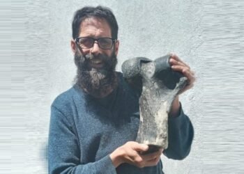 Descubren restos de un perezoso gigante de más de 8.000 años en Punta Médanos