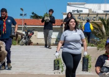 Mar del Tuyú: continúan las acciones de forestación en la línea de médanos