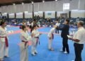 El seleccionado costero sumó 7 medallas en un Torneo Nacional de Taekwondo