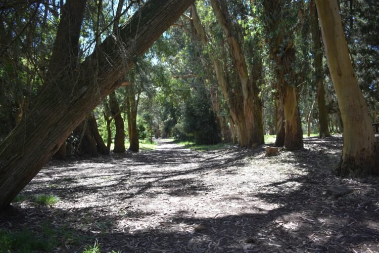 A 90 años de su fundación, San Clemente celebra un nuevo aniversario