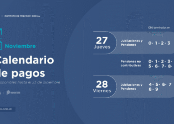 EL IPS PAGA HABERES DE NOVIEMBRE