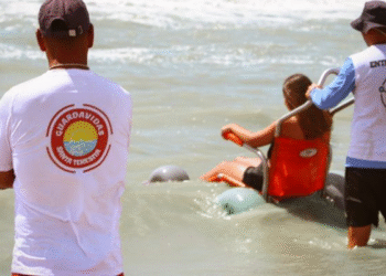 La Costa ofrece servicio gratuito de sillas anfibias en distintas playas del distrito