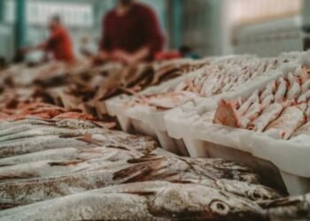 Venta de pesca artesanal: puntos habilitados en el Partido de La Costa