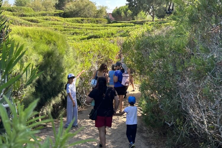 Chicos y chicas de las Colonias Culturales de Verano se reunieron en el Parque Laberinto Las Toninas