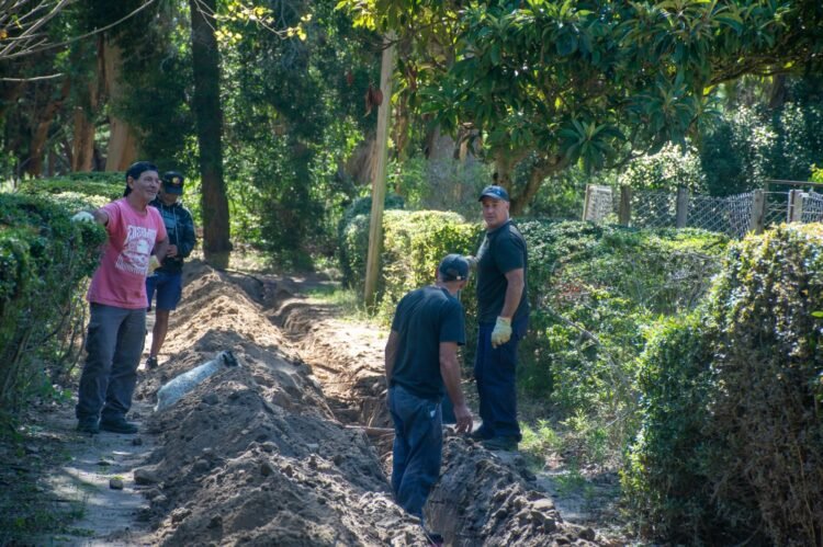 Continúa la puesta en valor de la Reserva Municipal Vivero Cosme Argerich