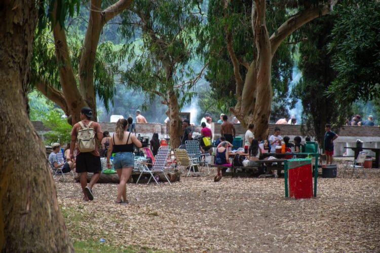 Continúa la puesta en valor de la Reserva Municipal Vivero Cosme Argerich
