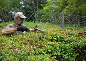 Continúa la puesta en valor de la Reserva Municipal Vivero Cosme Argerich