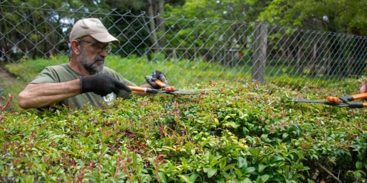 Continúa la puesta en valor de la Reserva Municipal Vivero Cosme Argerich