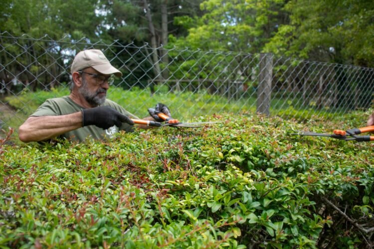 Continúa la puesta en valor de la Reserva Municipal Vivero Cosme Argerich