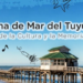 Música, danza, circo y clases abiertas: comienza la Semana de Mar del Tuyú