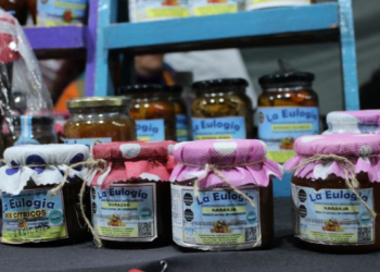 PUPAAs: una herramienta para formalizar la producción de alimentos elaborados en casa