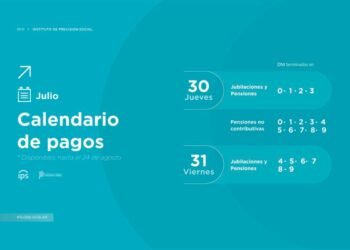EL IPS PAGA HABERES DE JULIO