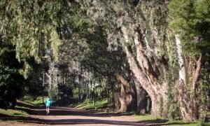 Último fin de semana de vacaciones de invierno: las propuestas para disfrutar en La Costa